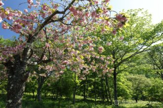 EOS5DsR+EF16-35mmF4L IS USM 16mm f16 1/13sec ISO100 PLフィルター