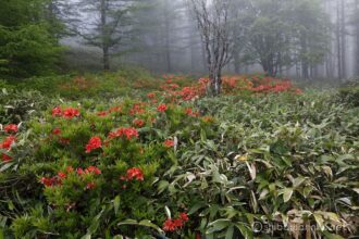 EOS5DsR+EF24-70mmF2.8LⅡUSM 24mm f16 0.4sec ISO100 PLフィルター