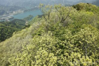 EOS5DsR+EF24-70mmF2.8LⅡUSM 24mm f16 1/30sec ISO100 PLフィルター