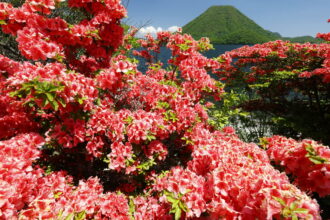 EOS5DsR+EF16-35mmF4L IS USM 16mm f16 1/30sec ISO100 PLフィルター