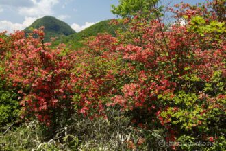 EOS5DsR+EF24-70mmF2.8LⅡUSM 44mm f16 1/30sec ISO100 PLフィルター