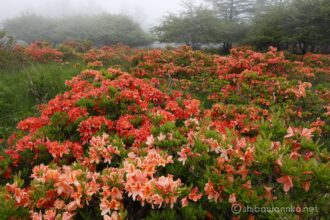 EOS5DsR+EF24-70mmF2.8LⅡUSM 24mm f16 1/4sec ISO100 PLフィルター