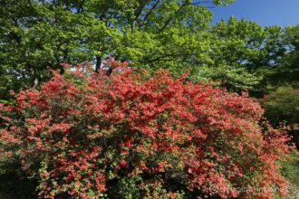 EOS5DsR+EF24-70mmF2.8LⅡUSM 24mm f16 1/20sec ISO100 PLフィルター