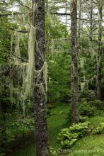 EOS5DsR+EF24-70mmF2.8LⅡUSM 50mm f16 0.3sec ISO100 PLフィルター