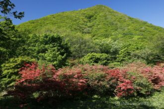 EOS5DsR+EF24-70mmF2.8LⅡUSM 33mm f8 1/60sec ISO100 PLフィルター
