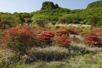 EOS5DsR+EF24-70mmF2.8LⅡUSM 53mm f16 1/20sec ISO100 PLフィルター