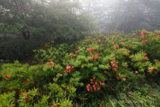 EOS5DsR+EF16-35mmF4L IS USM 16mm f16 1/4sec ISO100 PLフィルター