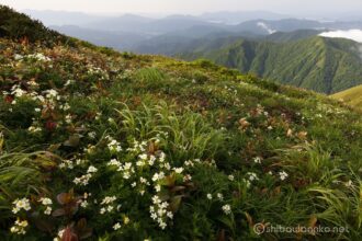 EOS5DsR+EF24-70mmF2.8LⅡUSM 24mm f16 1/15sec ISO100 PLフィルター
