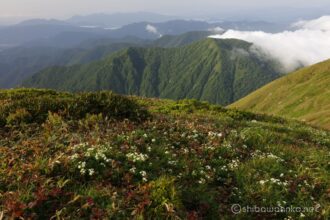 EOS5DsR+EF24-70mmF2.8LⅡUSM 35mm f16 1/25sec ISO100 PLフィルター