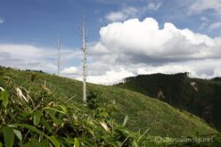 EOS5DsR+EF24-70mmF2.8LⅡUSM 45mm f16 1/50sec ISO100 PLフィルター