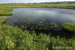 EOS5DsR+EF24-70mmF2.8LⅡUSM 24mm f16 1/25sec ISO100 PLフィルター