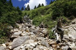 EOS5DsR+EF24-70mmF2.8LⅡUSM 24mm f11 1/60sec ISO100 PLフィルター