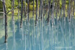 EOS5DsR+EF100-400mmF4.5-5.6L ISⅡUSM 214mm f16 1/10sec ISO100 PLフィルター