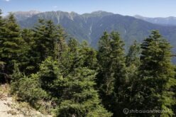 EOS5DsR+EF24-70mmF2.8LⅡUSM 30mm f16 1/20sec ISO100 PLフィルター