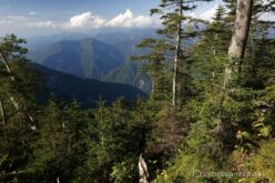 EOS5DsR+EF24-70mmF2.8LⅡUSM 28mm f16 1/20sec ISO100 PLフィルター