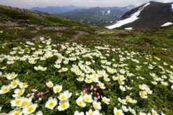 EOS5DsR+EF16-35mmF4L IS USM 16mm f16 1/50sec ISO100 PLフィルター