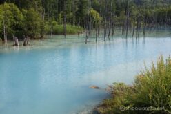 EOS5DsR+EF24-70mmF2.8LⅡUSM 39mm f16 1/25sec ISO100 PLフィルター