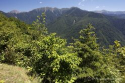 EOS5DsR+EF24-70mmF2.8LⅡUSM 24mm f16 1/20sec ISO100 PLフィルター