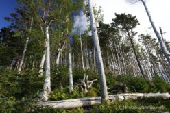 EOS5DsR+EF24-70mmF2.8LⅡUSM 24mm f16 1/20sec ISO100 PLフィルター