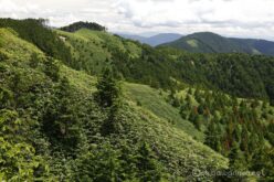 EOS5DsR+EF24-70mmF2.8LⅡUSM 53mm f16 1/30sec ISO100 PLフィルター