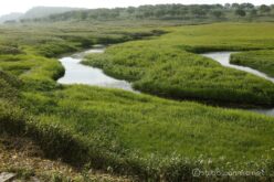 EOS5DsR+EF24-70mmF2.8LⅡUSM 44mm f16 1/15sec ISO100 PLフィルター