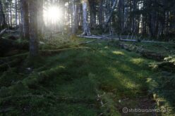 EOS5DsR+EF24-70mmF2.8LⅡUSM 35mm f16 2.5sec ISO100 PLフィルター