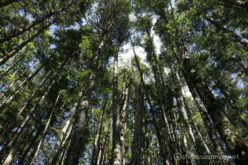 EOS5DsR+EF24-70mmF2.8LⅡUSM 24mm f16 1/11sec ISO100 PLフィルター