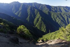 EOS5DsR+EF24-70mmF2.8LⅡUSM 25mm f11 1/13sec ISO100 PLフィルター