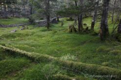 EOS5DsR+EF24-70mmF2.8LⅡUSM 31mm f16 4sec ISO100 PLフィルター