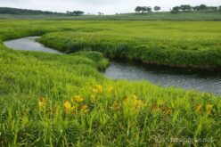 EOS5DsR+EF24-70mmF2.8LⅡUSM 38mm f11 1/20sec ISO100 PLフィルター