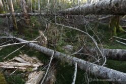 EOS5DsR+EF24-70mmF2.8LⅡUSM 24mm f16 2.5sec ISO100 PLフィルター