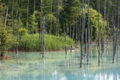 EOS5DsR+EF100-400mmF4.5-5.6L ISⅡUSM 100mm f16 1/10sec ISO100 PLフィルター