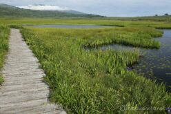 EOS5DsR+EF24-70mmF2.8LⅡUSM 33mm f16 1/30sec ISO100 PLフィルター