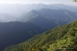 EOS5DsR+EF24-70mmF2.8LⅡUSM 50mm f11 1/25sec ISO100 PLフィルター