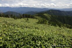 EOS5DsR+EF24-70mmF2.8LⅡUSM 24mm f11 1/100sec ISO100 PLフィルター