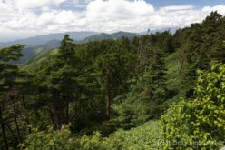 EOS5DsR+EF24-70mmF2.8LⅡUSM 24mm f11 1/60sec ISO100 PLフィルター