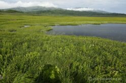 EOS5DsR+EF24-70mmF2.8LⅡUSM 28mm f16 1/30sec ISO100 PLフィルター