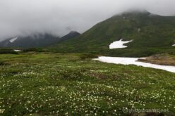 EOS5DsR+EF16-35mmF4L IS USM 28mm f16 1/15sec ISO100 PLフィルター