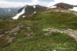 EOS5DsR+EF16-35mmF4L IS USM 17mm f11 1/60sec ISO100 PLフィルター