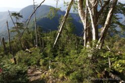 EOS5DsR+EF24-70mmF2.8LⅡUSM 28mm f16 1/15sec ISO100 PLフィルター