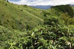 EOS5DsR+EF24-70mmF2.8LⅡUSM 35mm f16 1/25sec ISO100 PLフィルター