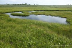 EOS5DsR+EF24-70mmF2.8LⅡUSM 30mm f16 1/20sec ISO100 PLフィルター