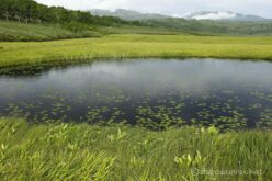 EOS5DsR+EF24-70mmF2.8LⅡUSM 35mm f16 1/20sec ISO100 PLフィルター