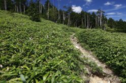 EOS5DsR+EF24-70mmF2.8LⅡUSM 24mm f11 1/80sec ISO100 PLフィルター