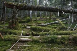 EOS5DsR+EF24-70mmF2.8LⅡUSM 31mm f16 4sec ISO100 PLフィルター