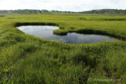 EOS5DsR+EF24-70mmF2.8LⅡUSM 24mm f11 1/50sec ISO100 PLフィルター