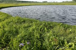 EOS5DsR+EF24-70mmF2.8LⅡUSM 24mm f16 1/15sec ISO100 PLフィルター