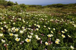 EOS5DsR+EF16-35mmF4L IS USM 28mm f16 1/40sec ISO100 PLフィルター