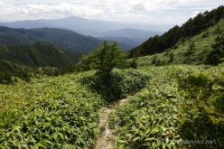 EOS5DsR+EF24-70mmF2.8LⅡUSM 24mm f11 1/80sec ISO100 PLフィルター