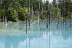 EOS5DsR+EF24-70mmF2.8LⅡUSM 55mm f16 1/20sec ISO100 PLフィルター